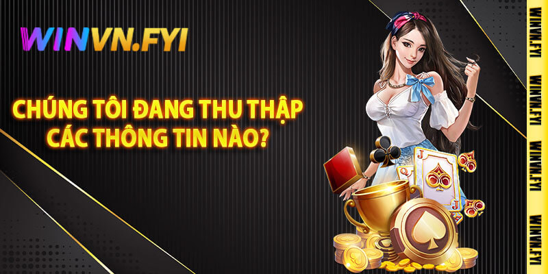 Chúng Tôi Đang Thu Thập Các Thông Tin Nào?